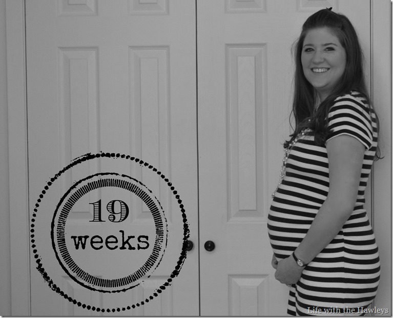 19 Weeks