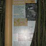 The Schmidt's Guenon sign at the Nashville Zoo 09032011