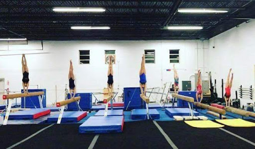 Gymnastics Center «ALL AROUND GYMNASTICS», reviews and photos, 674 County Line Rd, Bensenville, IL 60106, USA