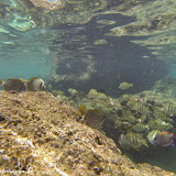 Snorkel no North Shore -  Oahu, Havaí, EUA