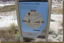 IMG_2402 IMG_2402