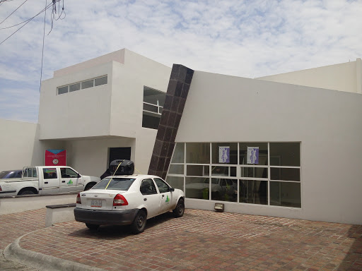 Casa de la Cultura de Yuriria., Fray Nicolás P. Navarrete 8, Zona Centro, 38940 Yuriria, Gto., México, Casa de la cultura | GTO