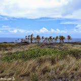 Hawaii Volcanoes NP - Chain of the Crater Road - Big Island, Havaí, EUA