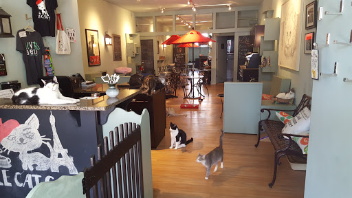 Pet Adoption Service «Le Cat Cafe», reviews and photos, 2713 W Girard Ave, Philadelphia, PA 19130, USA