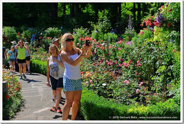 150702_Victoria_ButchartGardens_0031