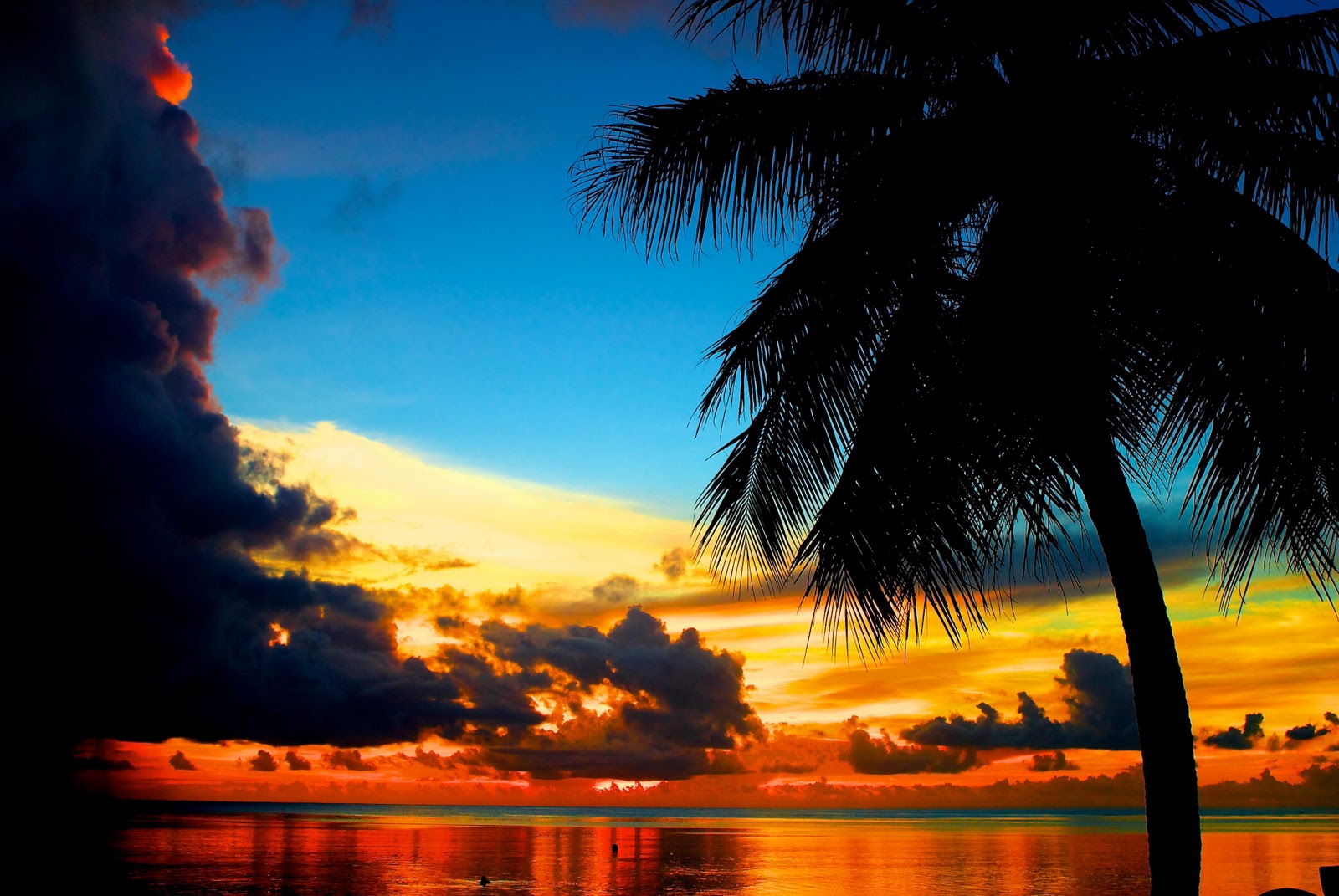 Sunset, Palm Tree, Guam,