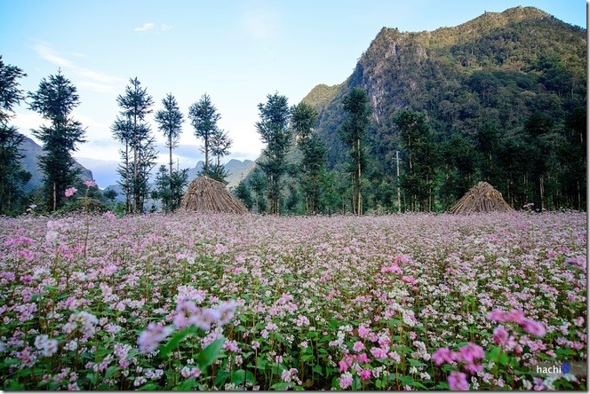 Cảnh đẹp Việt Nam, cảnh đẹp Hà Giang