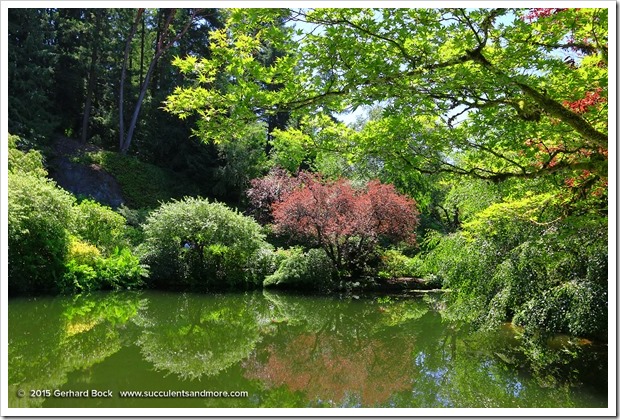 150702_Victoria_ButchartGardens_0112