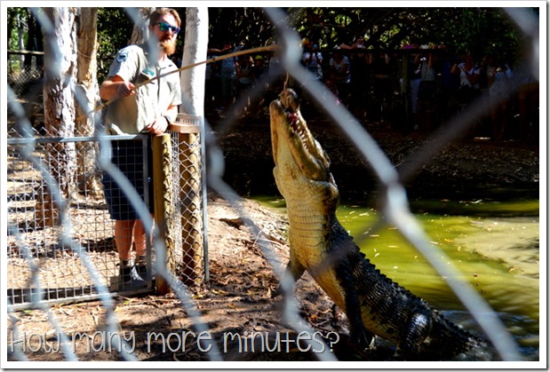 Billabong Sanctuary | How Many More Minutes?