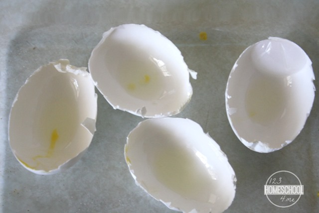 [growing-crystals-in-eggs%255B7%255D.jpg]