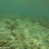 "Snorkelando" -  Kauai, Havaí, EUA