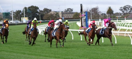 race 5 _past the post 1