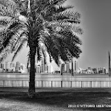 9 dicembre 2013 - Sharjah (Emirati Arabi Uniti) i grattacieli, il mercato del pesce e il souk dell'oro - fotografia di Vittorio Ubertone