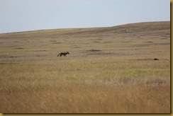 IMG_2684 IMG_2684