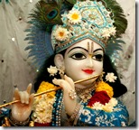 [Lord Krishna]