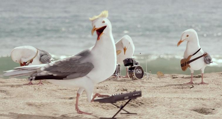 A Real Flock of Seagulls Sing "I Ran" for Cap Cod Chips TVC