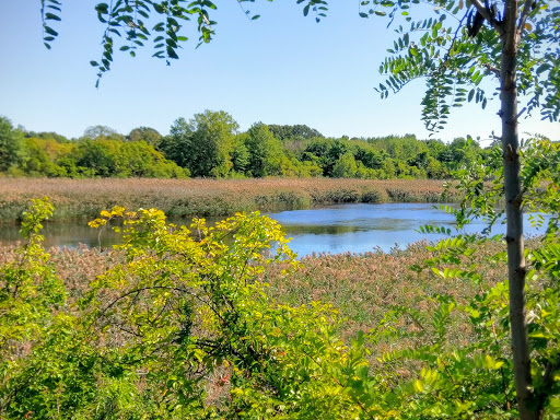 Interboro Pkwy, Brooklyn, NY 11208, USA