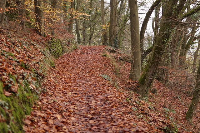 walking Cressbrook to Litton Mill