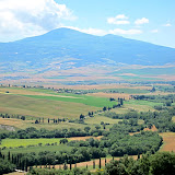 Organic farm in Tuscany.