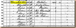 1870 Census-Mecklenburg, NC