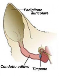 [cane-orecchio%255B4%255D.jpg]