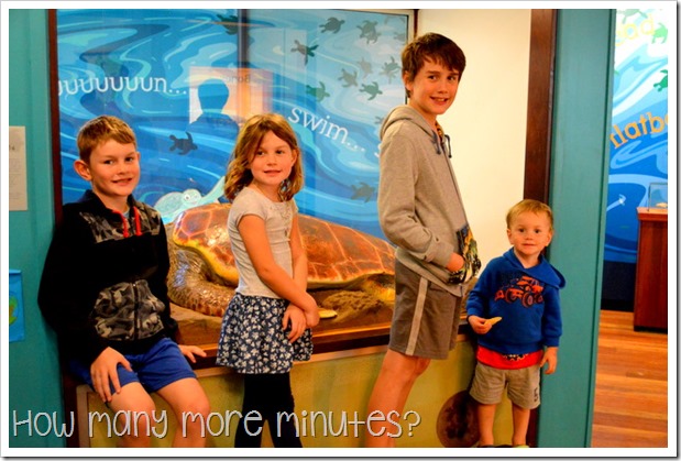 Mon Repos Turtle Centre | How Many More Minutes?