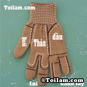 Gấu bông,hướng dẫn,găng tay,cách làm