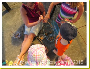 IMG_5800 IMG_5800