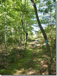 Shuman Point Trail