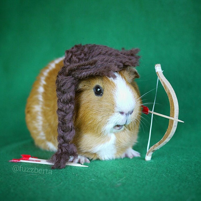 [Katniss%2520Cosplay%2520by%2520MiniGuineaPig%255B3%255D.jpg]