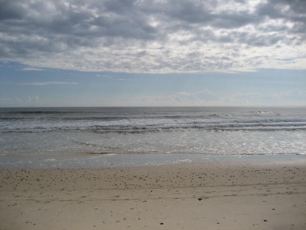 a wedding at a beach