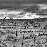 21 aprile 2014 Castiglione Tinella - fotografia di Vittorio Ubertone