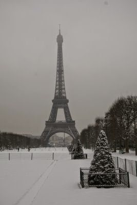 [PARIS%2520NIEVE%25202%252C2%252C09%2520029%255B4%255D.jpg]