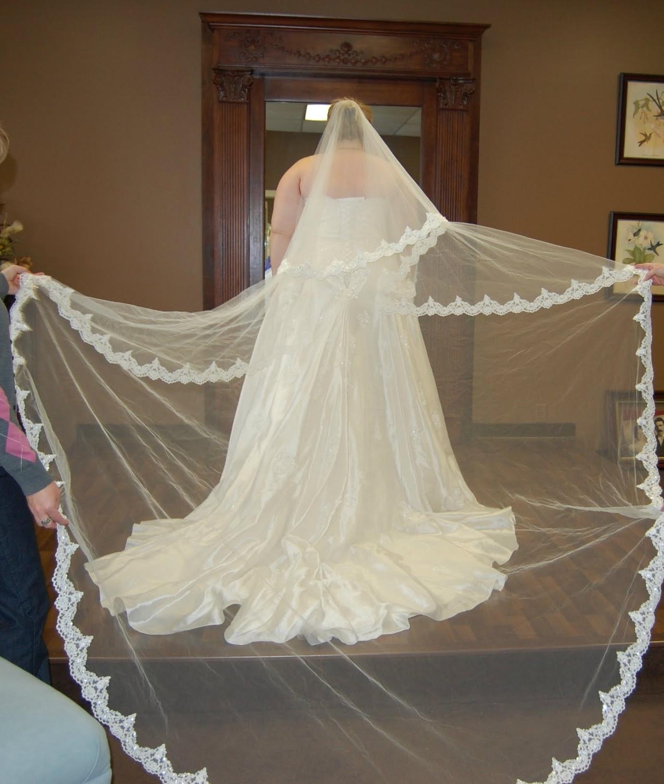 wedding dresses catholic lace