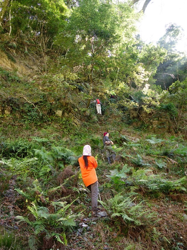 2014_0101-0105 萬山神石、萬山岩雕順訪萬頭蘭山_0344