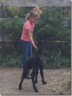 Meghen and newborn donkey09-02-15a