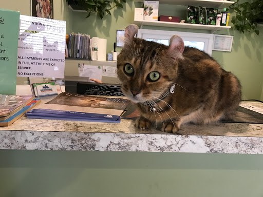 Animal Hospital «Woodbourne Animal Clinic», reviews and photos