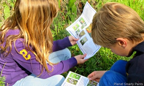 Nature-Flower-Hunt Nature-Flower-Hunt