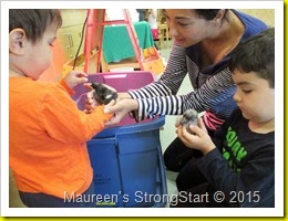 IMG_5900 IMG_5900