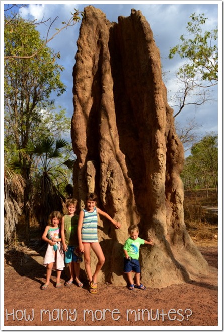 Magnetic Termite Mounds | How Many More Minutes?