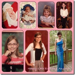 Ansley 17 collage