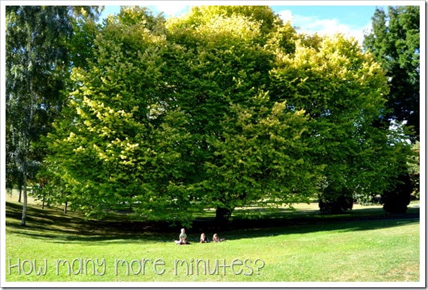 Royal Tasmanian Botanical Gardens ~ How Many More Minutes?