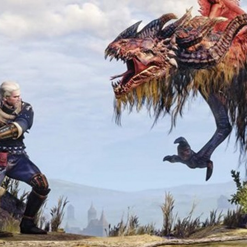 The Witcher 3 Monster Contract 6 - Drache
