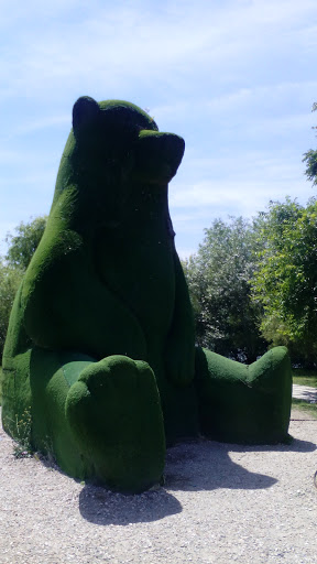 Urso do Parque Verde