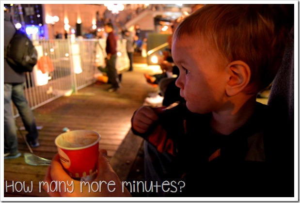Vivid Sydney 2015 ~ How Many More Minutes?