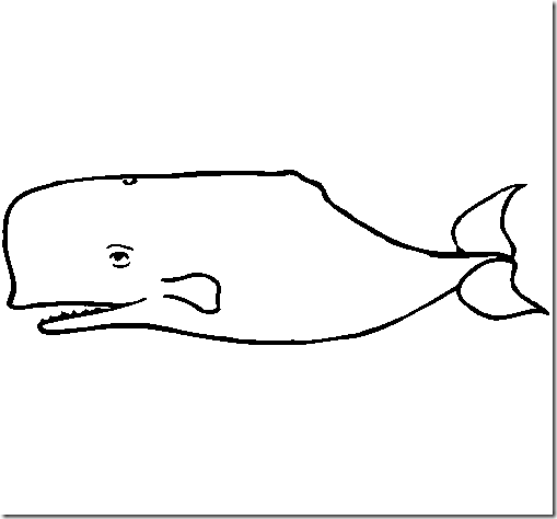 dibujos-ballenas-pintar- (2)