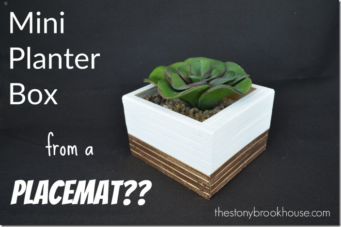 Mini Planter Box from a Placemat Mini Planter Box from a Placemat