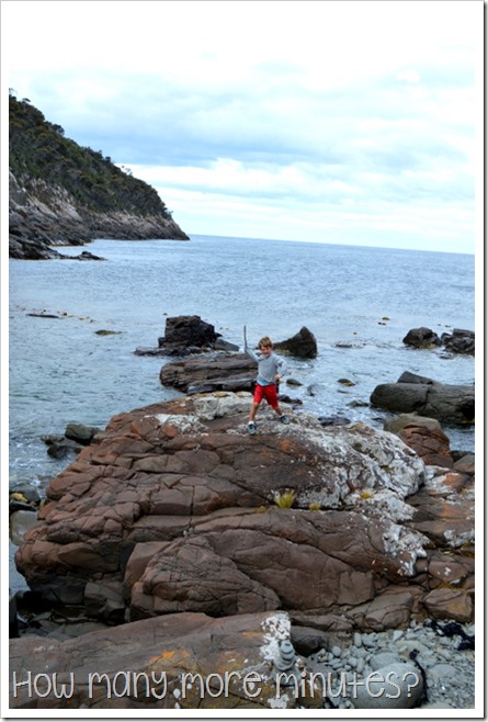 Walk to Grass Point, Bruny Island, TAS ~ How Many More Minutes?