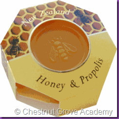 2 Manuka Honey Propolis Soap_zpsccumnmyg