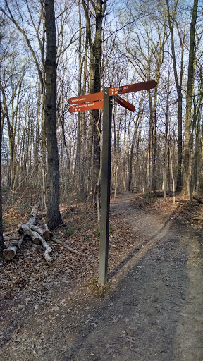 Matildaville Trail Marker